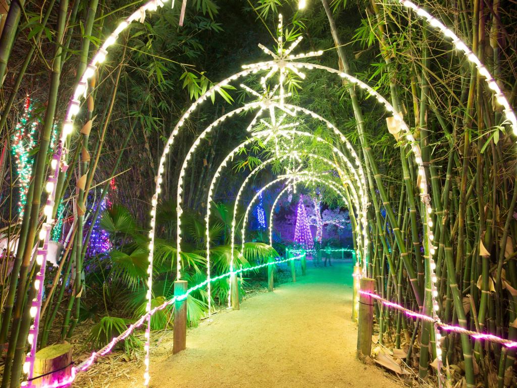 Lit up archway in the zoo in preparation for Christmas