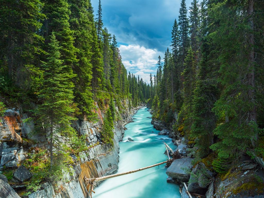 Numa Falls at the Vermillion River Canyon in the Kootenay National Park Canada