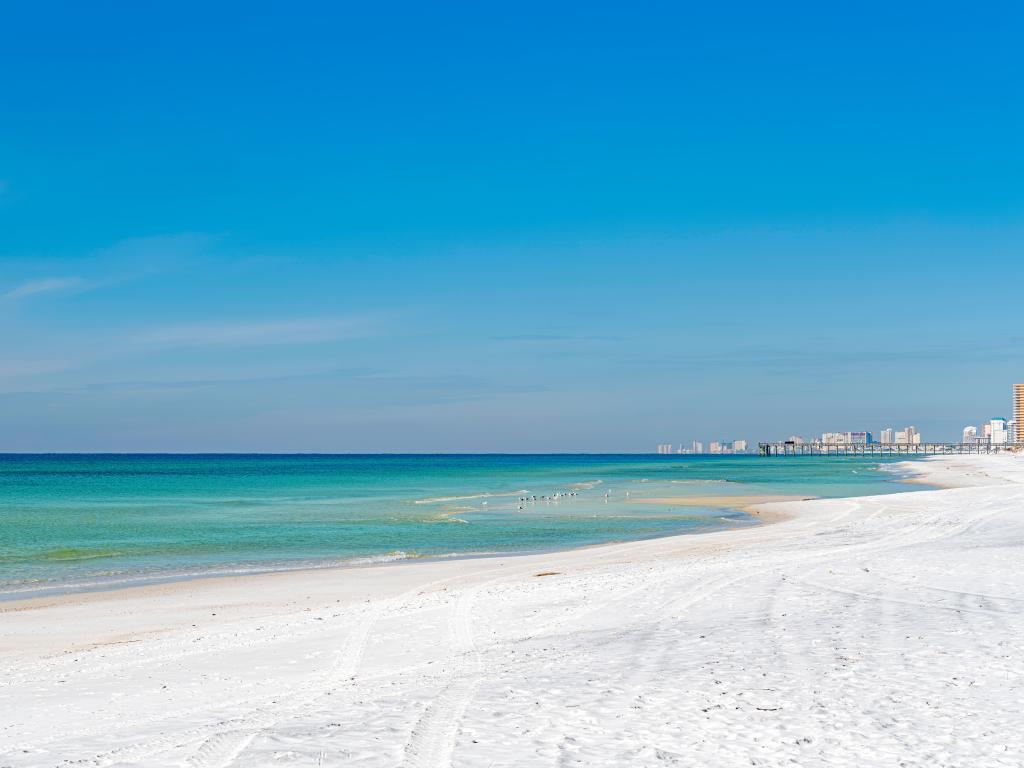 panama city beach and the gulf of mexico, looking west from st. andrews state park