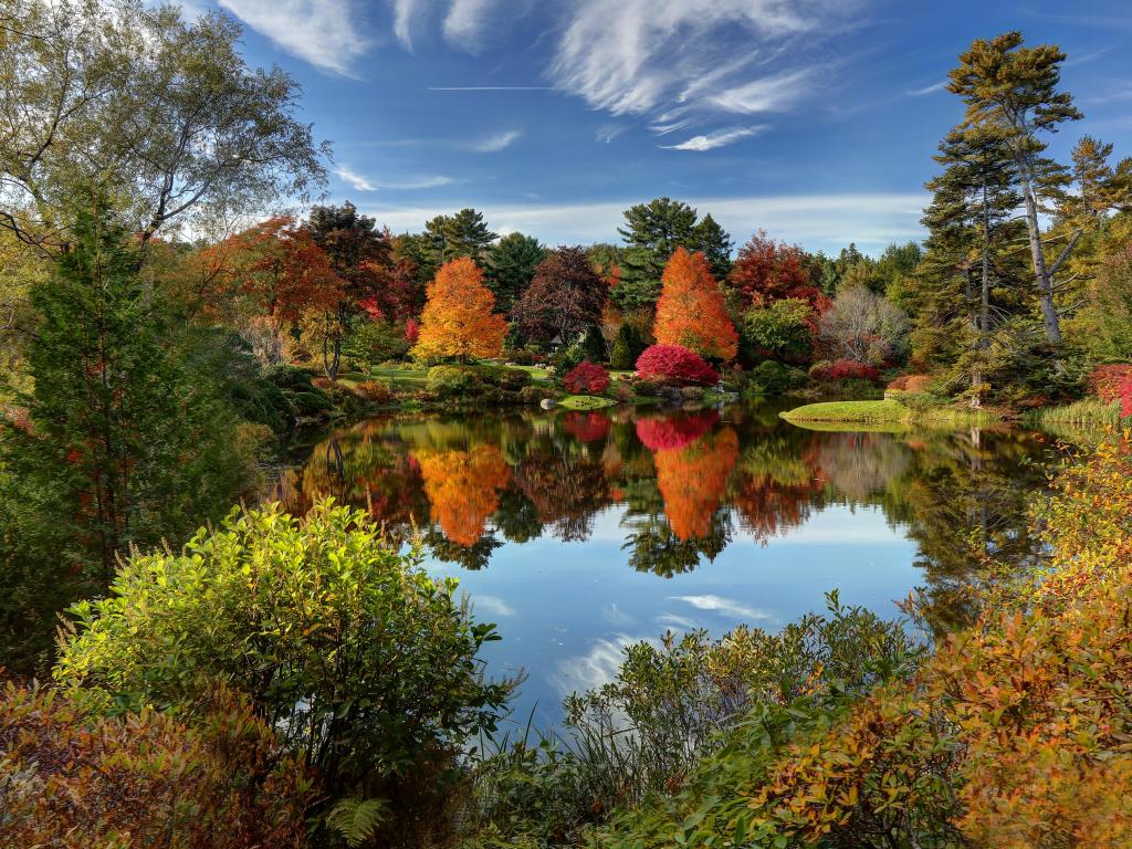 Asticou Azalea Garden near Bar Harbor, Maine, USA with the reflection of fall foliage.