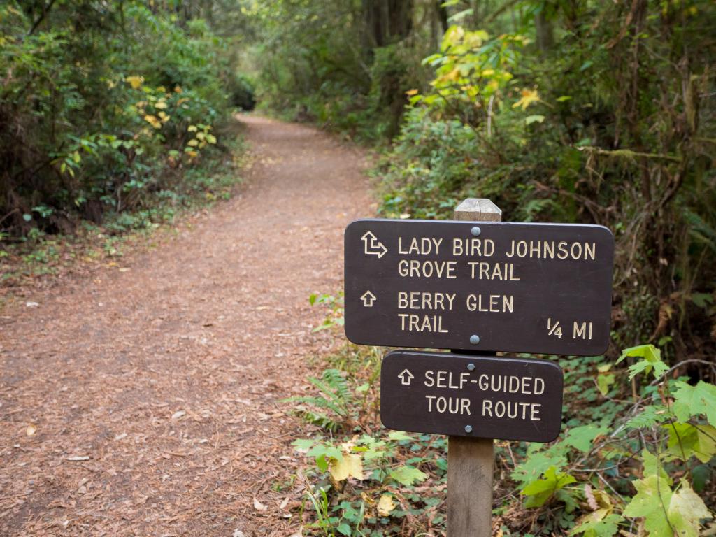 Signage for Lady Bird Johnson Grove Trail passing through the lush woodlands and towering trees, California