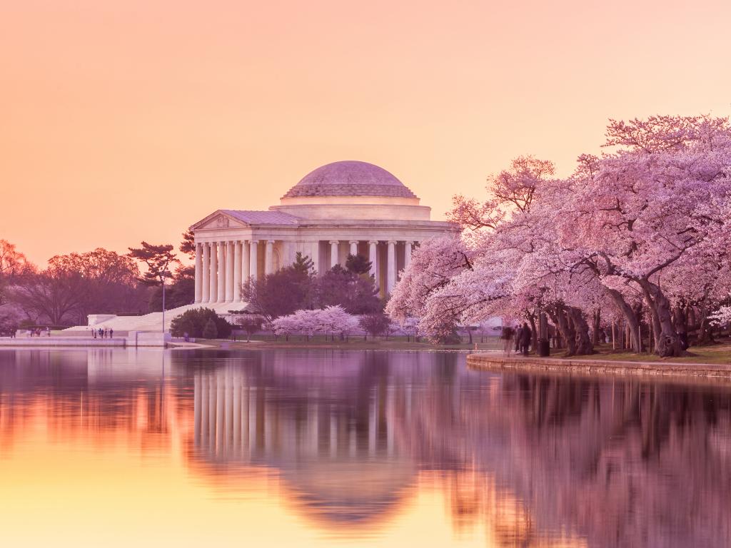 Jefferson Memorial during the Cherry Blossom Festival. Washington DC