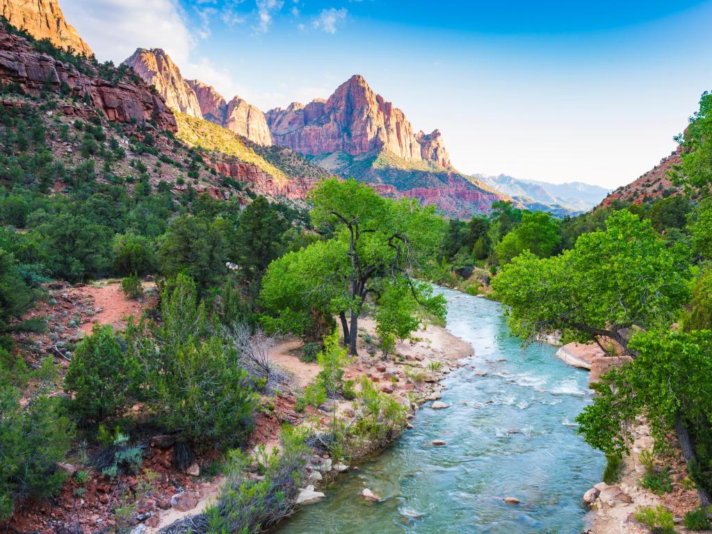 Zion National Park, Utah, USA taken on a beautiful sunny day with the river in the foreground, trees either side and the rocky mountains in the distance on a clear day.
