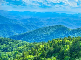 View of many forested green mountains 