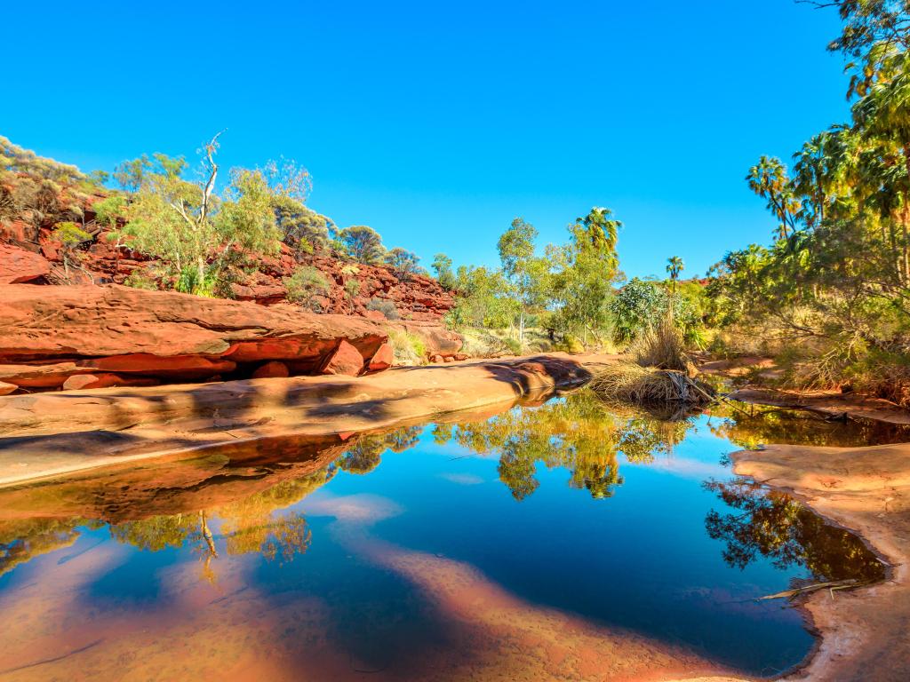 Alice Springs