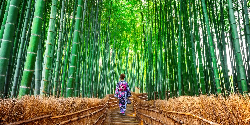 A woman dressed in a kimono walking through Arashiyama Bamboo Grove, Kyoto