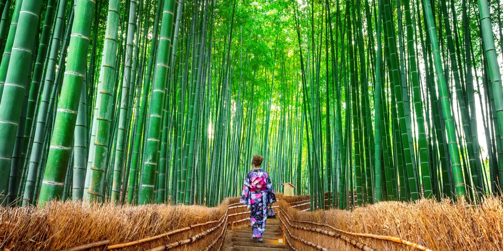 A woman dressed in a kimono walking through Arashiyama Bamboo Grove, Kyoto