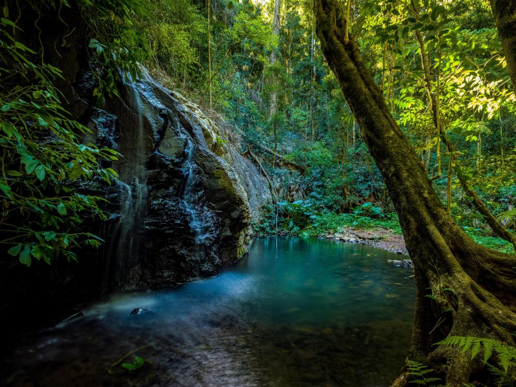 Pool with small waterfall in tropical forest