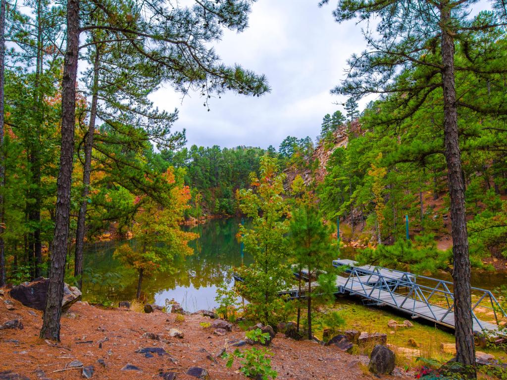 Forestry in Pinnacle State Park. Arkansas State of US.