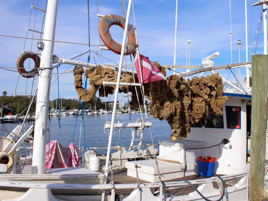Sponges hang drying on the Tarpon Spring Sponge docks