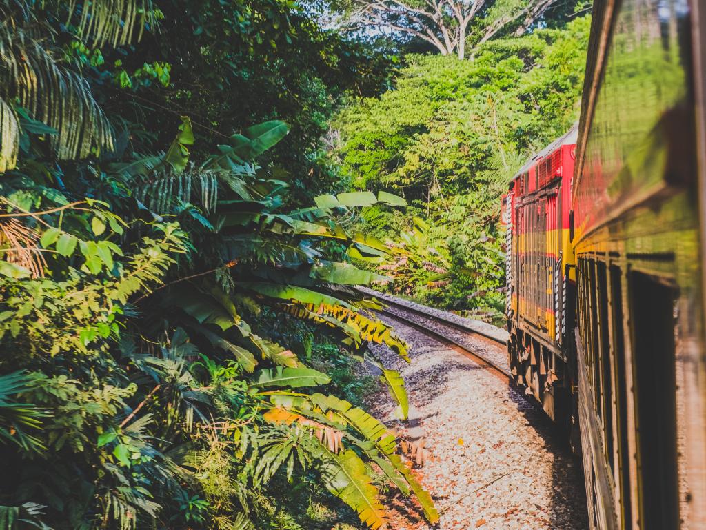 The red colored train driving through green forests from Colon to Panama City