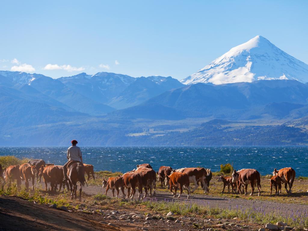 How is a gaucho from Patagonia connected to Prince Charles? That's what the 6 Degrees of Separation game is all about.