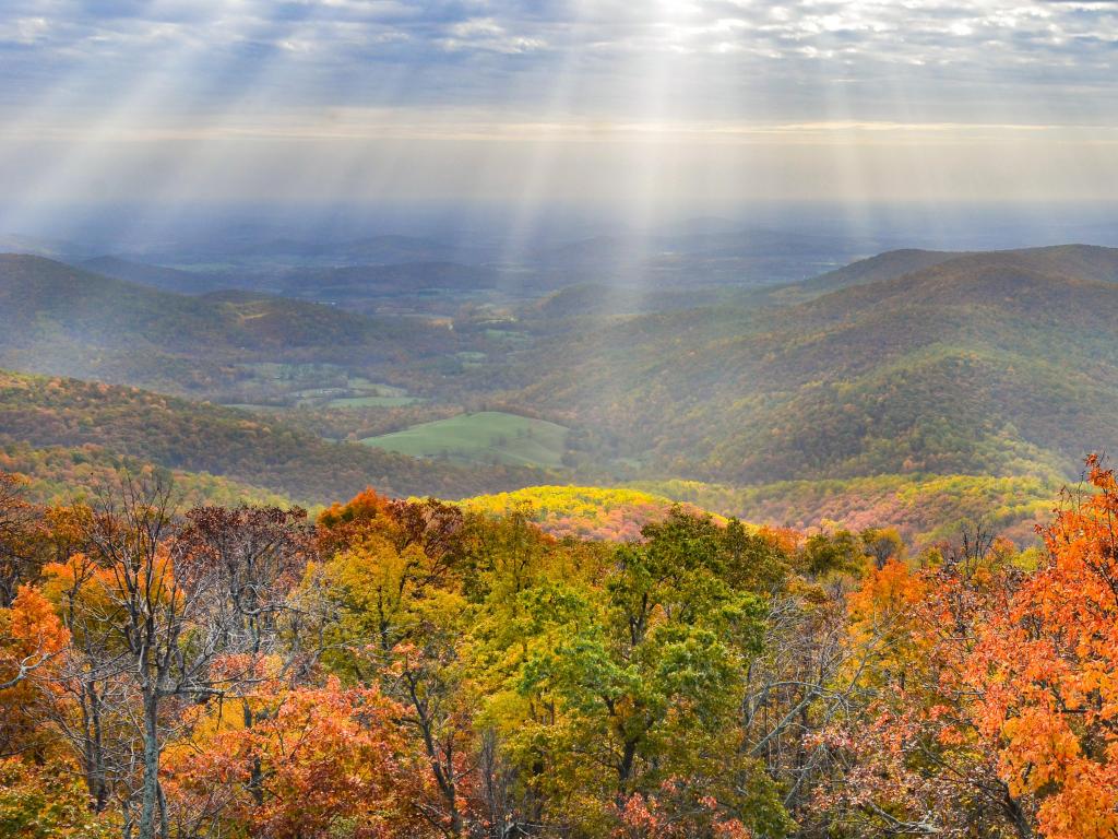 Shenandoah National Park in Autumn foliage over looking mountain peaks