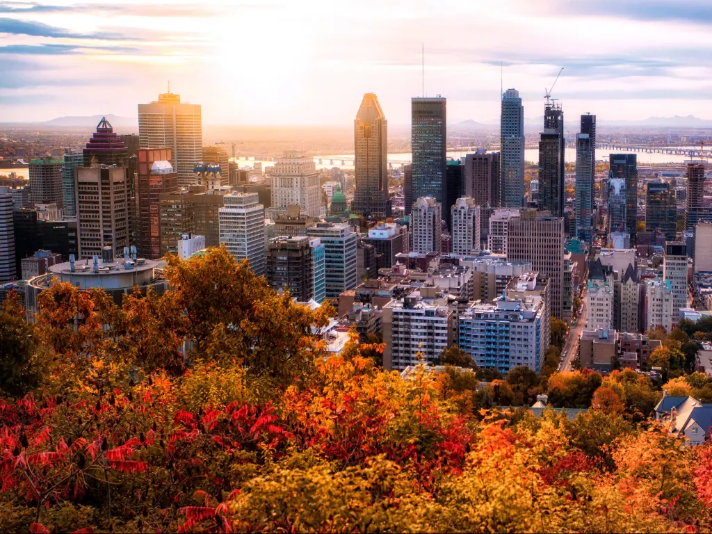 Montreal sunrise with colourful leaves