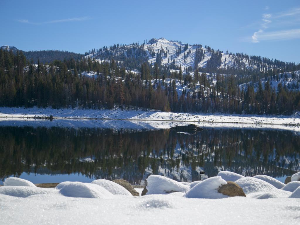 A snowy panorama at Huntington Lake, California, with wintery pine trees reflected in the water and blue sky above