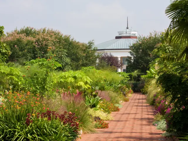 Beautiful walkway lined with plants leading up to a building