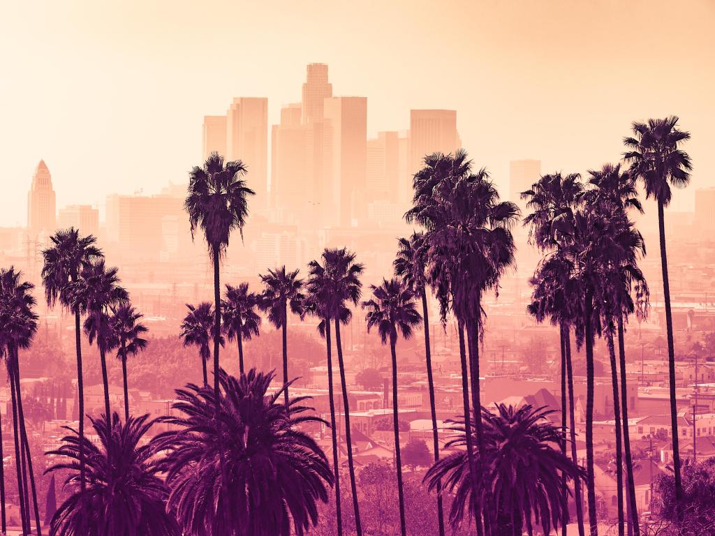 Los Angeles skyline in hazy yellow light with silhouetted palm trees in the foreground
