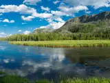 River flowing through the forests and mountains of Yellowstone National Park, Wyoming.