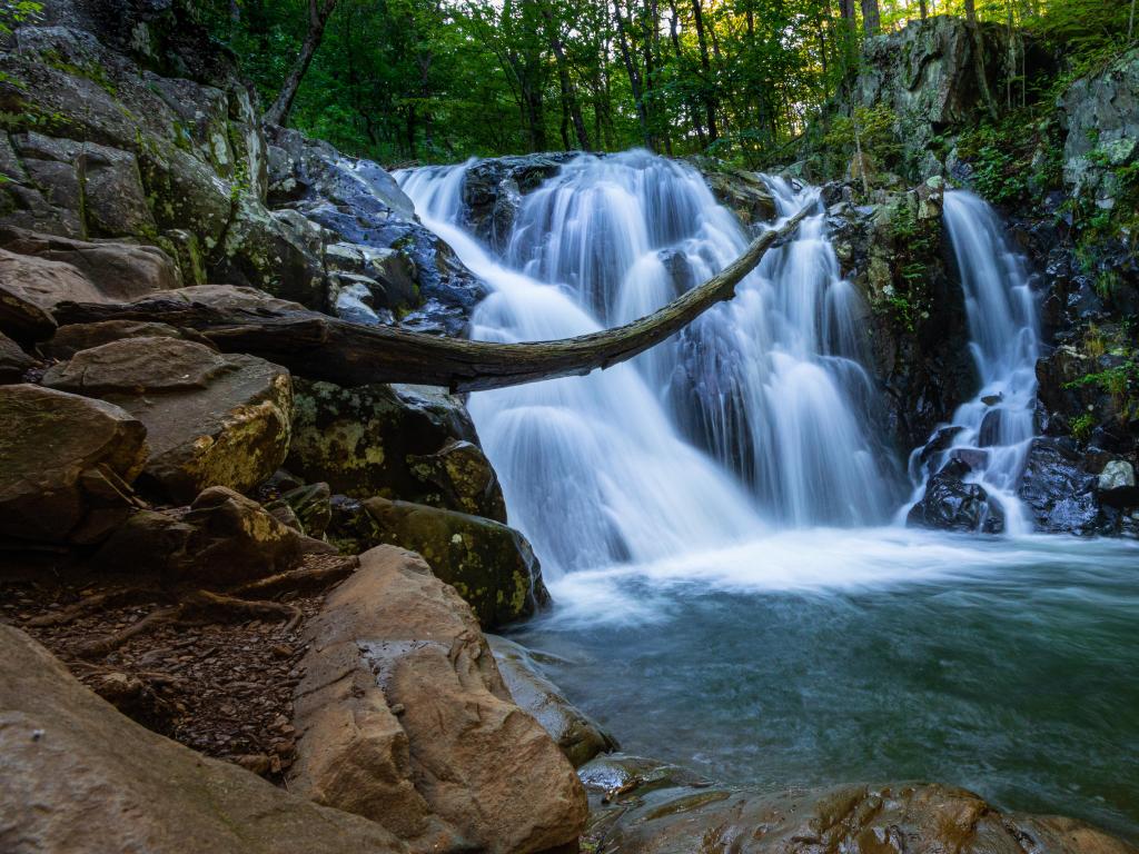 Rocky waterfall in forest