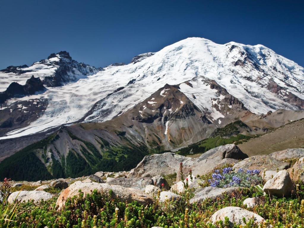 Mount Rainer, Vancouver taken at Sunrise with a clear blue sky, rocks in the foreground and the snow-covered mountain dominating the view. 