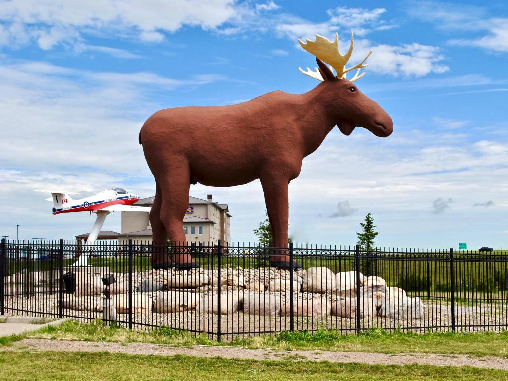 World's Largest Moose statue by the highway on a sunny day with a plane on display in the background
