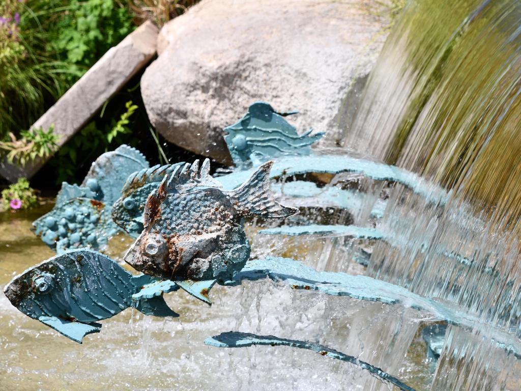 Metal fish statue with water flowing in the background