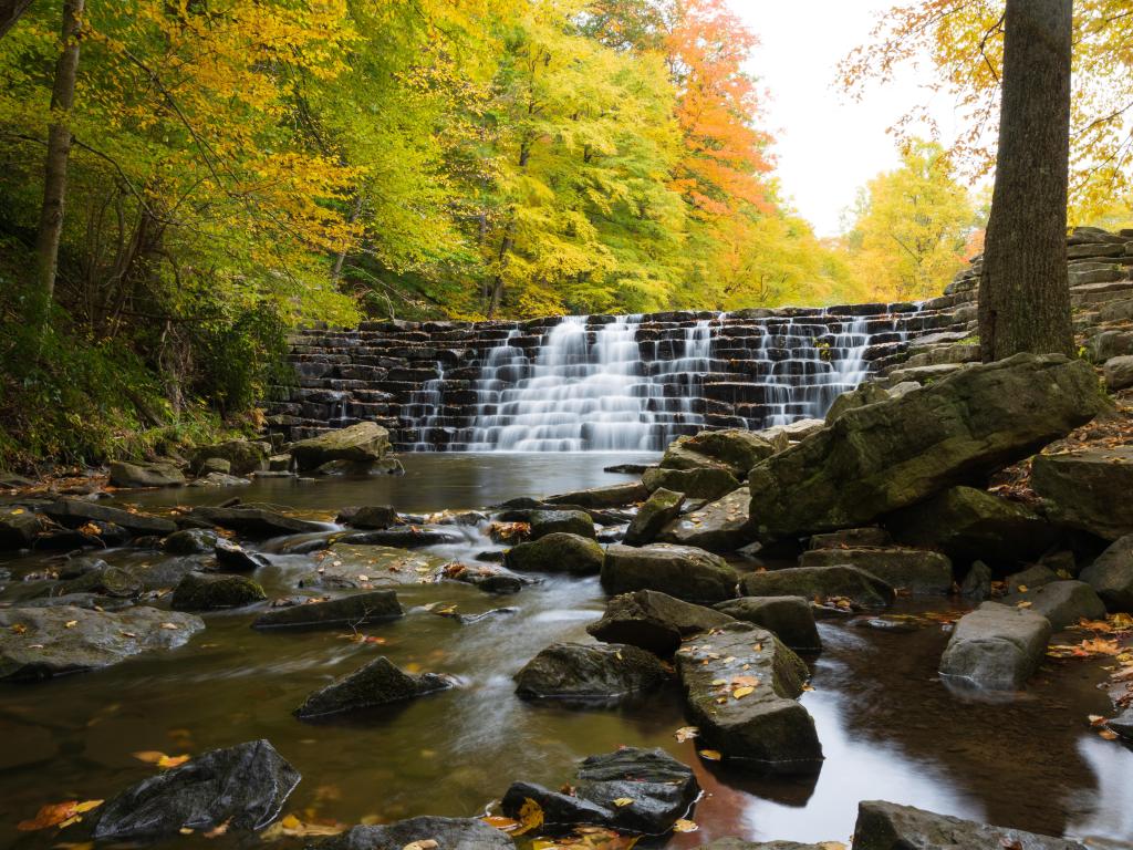 Water running through a dam in Laurel Hill State Park, surrounded by green trees