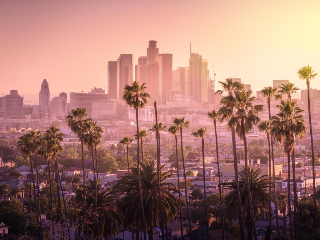Beautiful sunset of Los Angeles downtown skyline and palm trees in foreground.