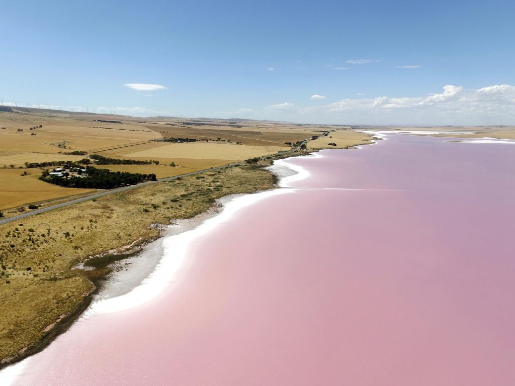 Lake Bumbunga, South Australia with pink water and flat lands in the distance on a clear sunny day.