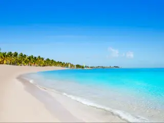Key west Florida Smathers beach palm trees in USA
