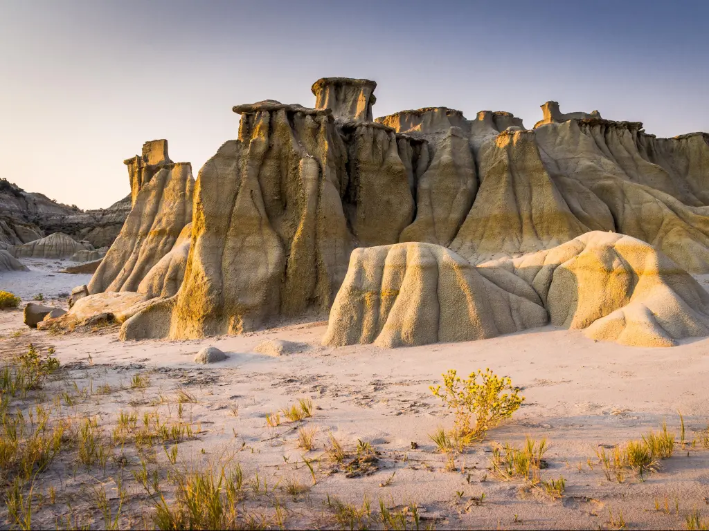 Theodore Roosevelt National Park, ND, USA with hoodoos at sunset surrounded by sand dunes and wildflowers in the foreground. 