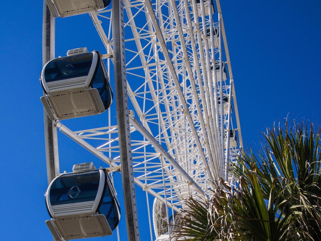 The Sky Wheel at Myrtle Beach seen from below with palm trees and blue sky