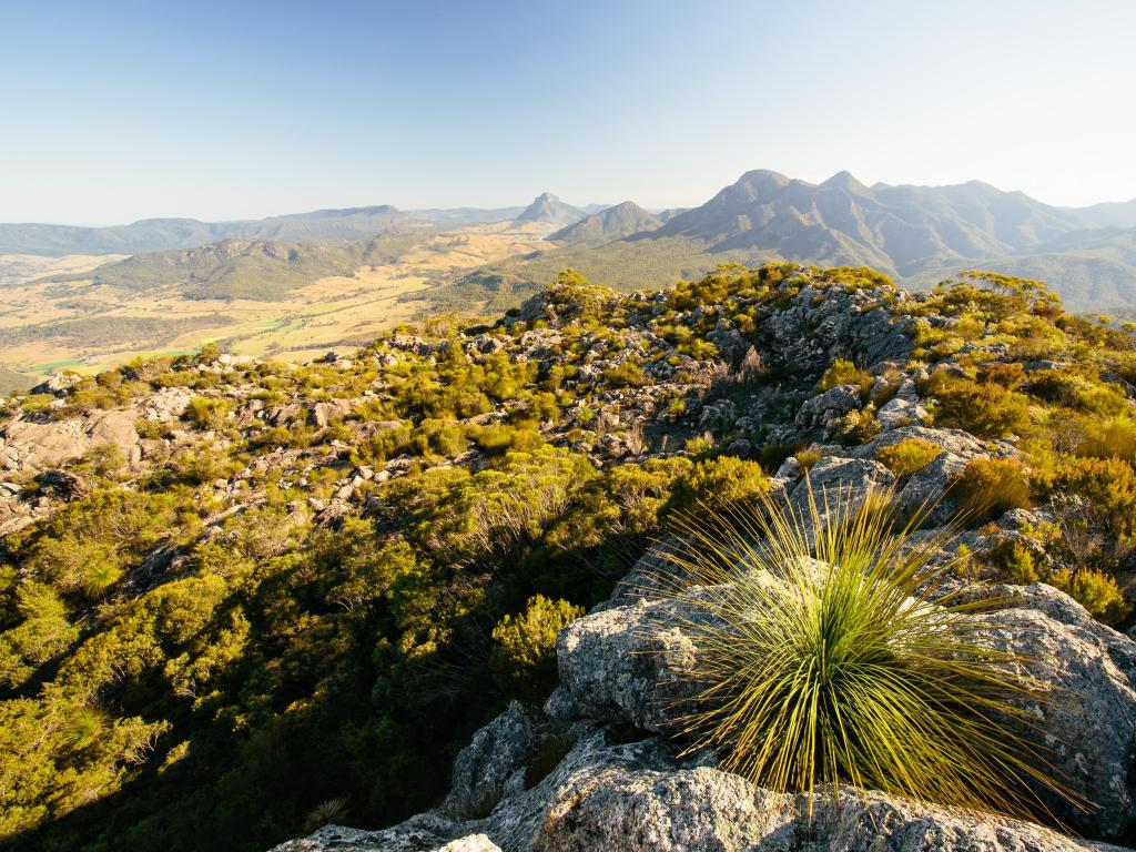 Rocky summit of Mr Barney National Park, Australia, with shrubbery in the foreground