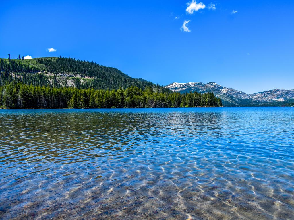 Clear blue water with pine covered slopes and snowy mountains on the far shore of the lake