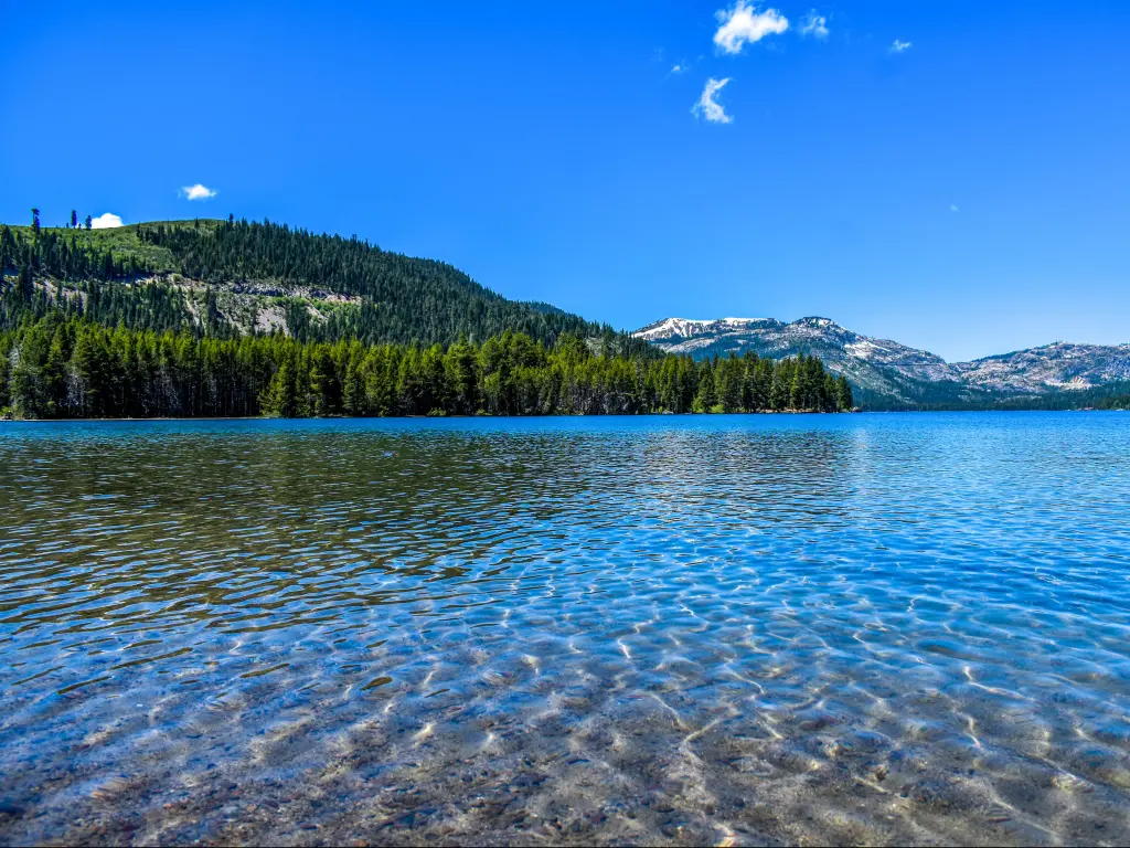 Clear blue water with pine covered slopes and snowy mountains on the far shore of the lake