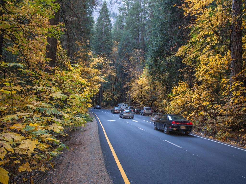 Cars slowing down due to enter the park