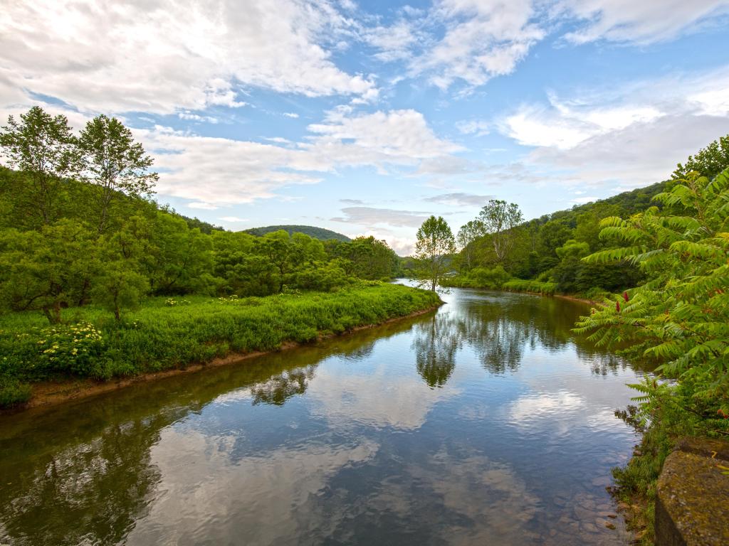 Allegheny National Forest near Warren, Pennsylvania, USA taken on a beautiful day along Tionesta Creek in the Allegheny National Forest.