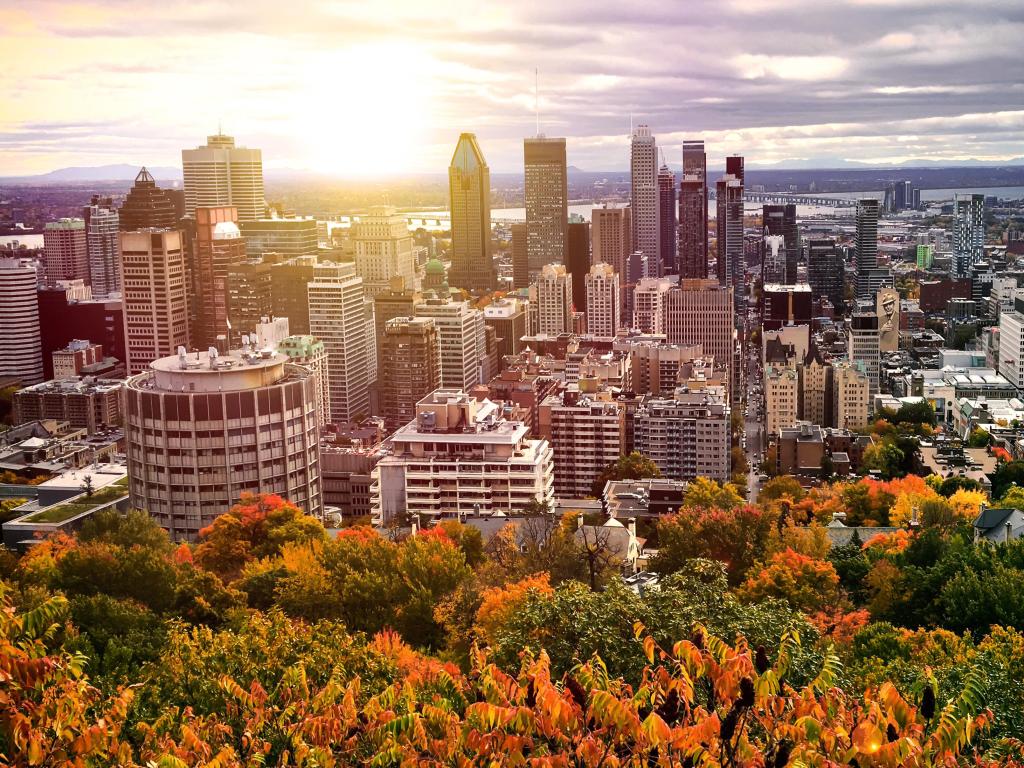 Montreal, Canada in fall taken at sunset with golden trees in the foreground and the city skyline in the background.