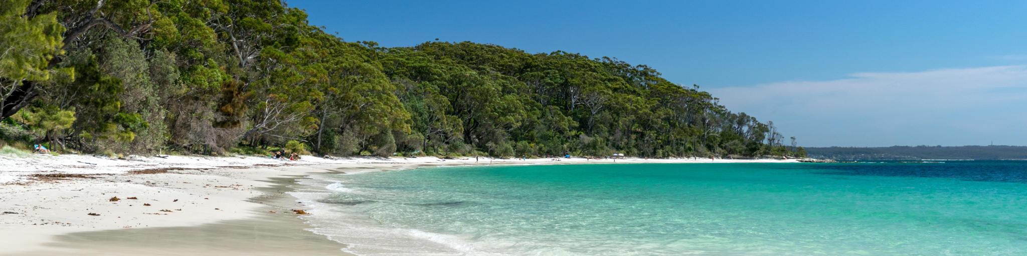 Jervis Bay, Australia with a stunning beach surrounded by rocks in the foreground, crystal clear water and dense woodland in the background.