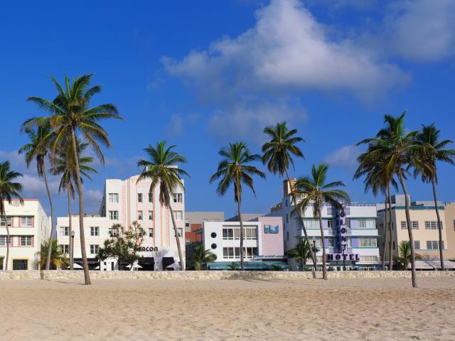 Art Deco buildings and palms growing along South Beach, Miami