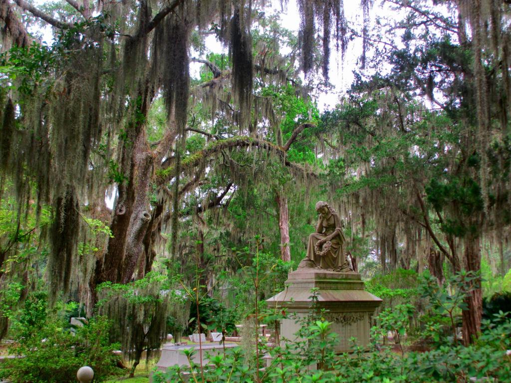 Eerie trees with a sculpture in the cemetery