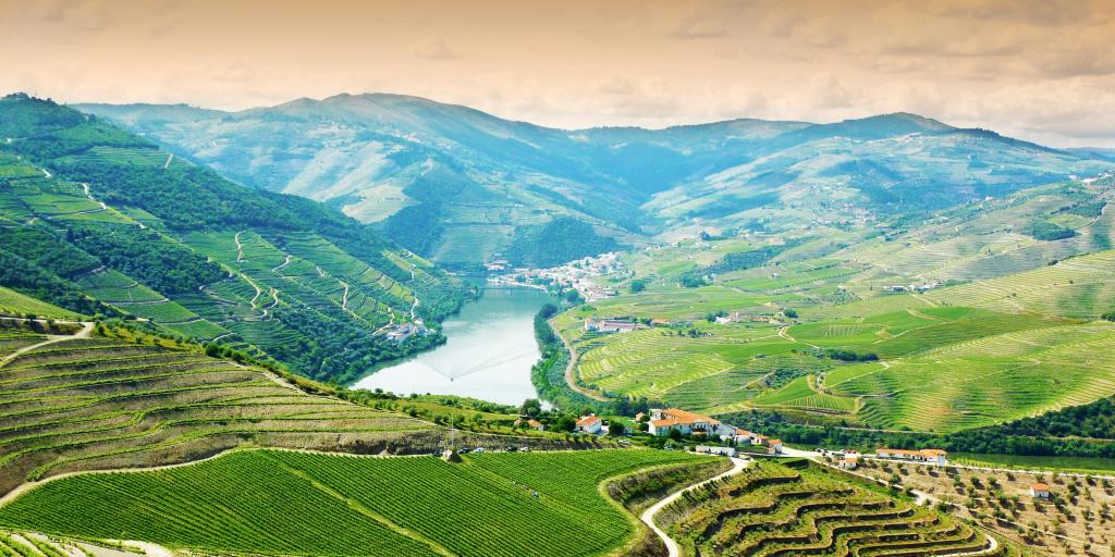 Vineyards in the Douro Valley, Portugal 