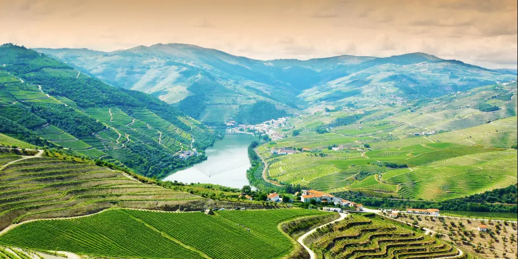 Vineyards in the Douro Valley, Portugal 