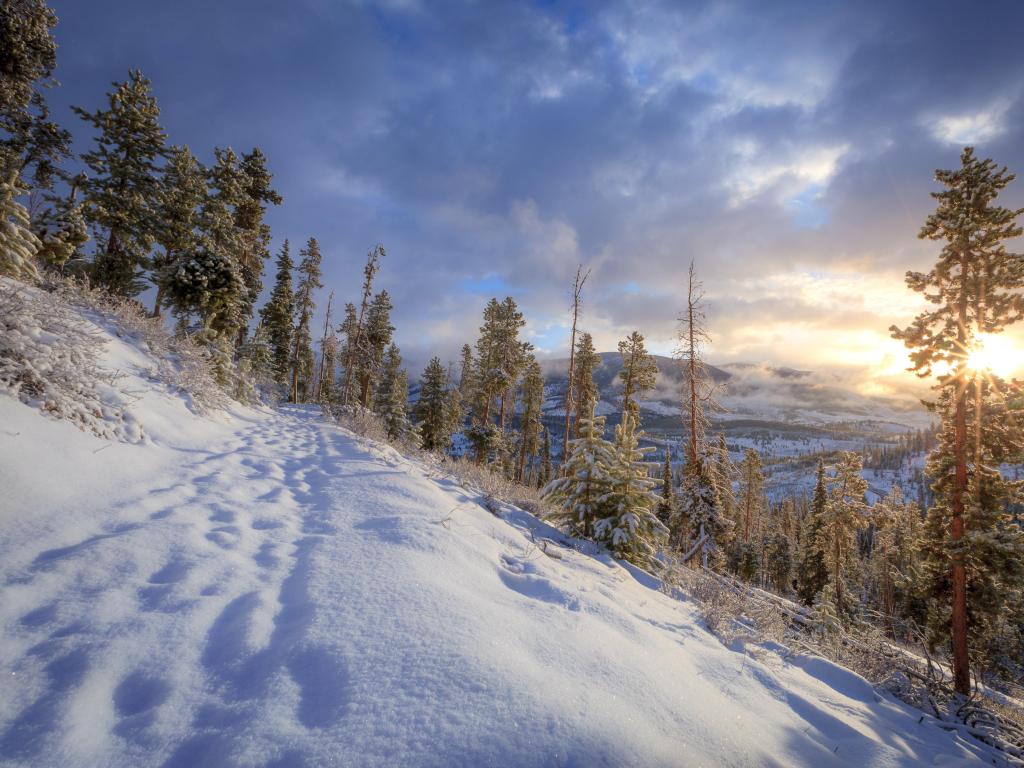 Snowy winter landscape of Sapphire Point, Colorado with evergreen trees on slope overlooking mountains while it is sunny