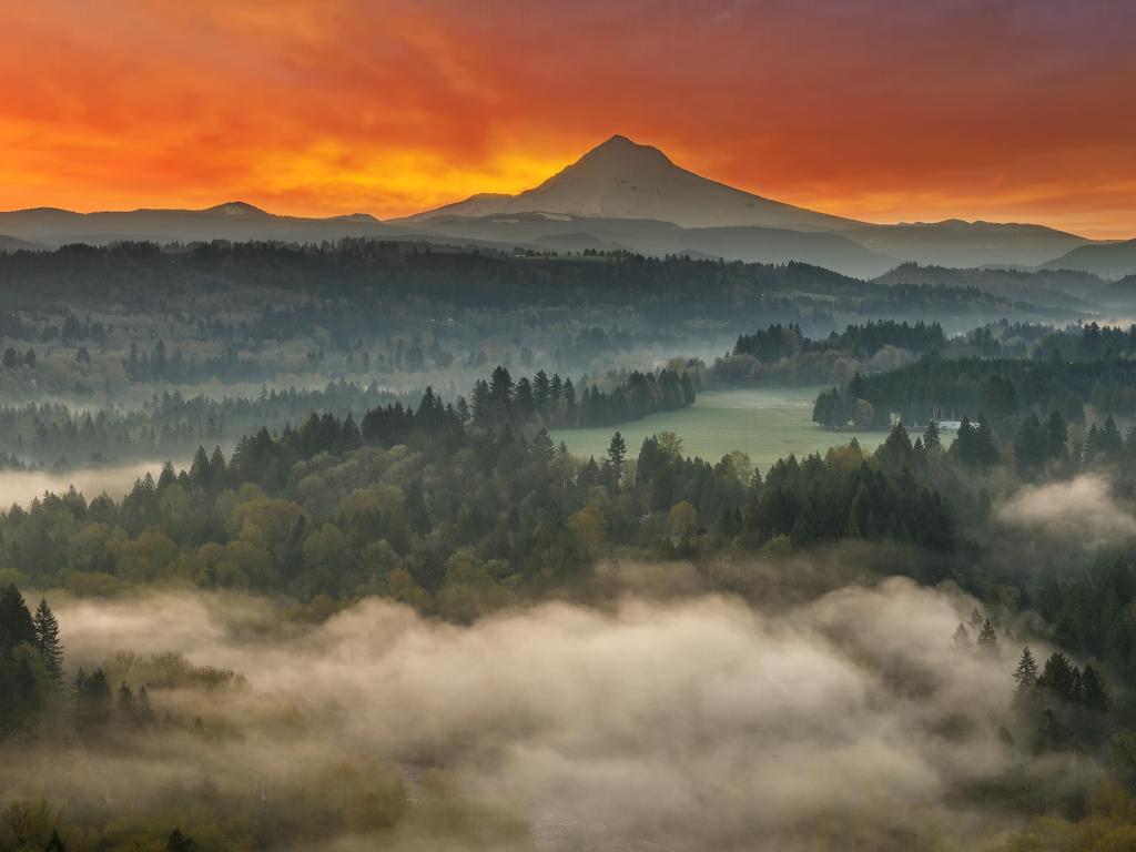 Mount Hood with an orange sunset sky above and misty trees in the foreground 