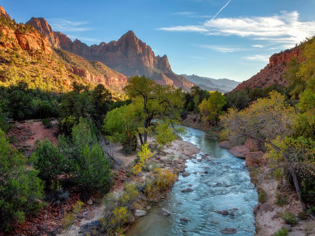 View of the Watchman mountain and the virgin river in Zion National Park