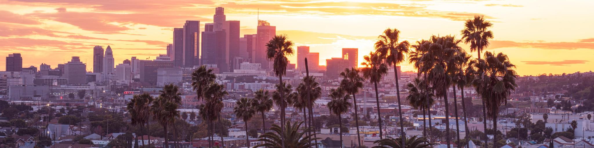 Los Angeles, California, USA with a beautiful sunset through the palm trees and city skyline in the distance.