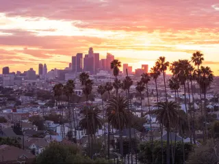 Los Angeles, California, USA with a beautiful sunset through the palm trees and city skyline in the distance.