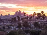 Los Angeles, California, USA with a beautiful sunset through the palm trees and city skyline in the distance.