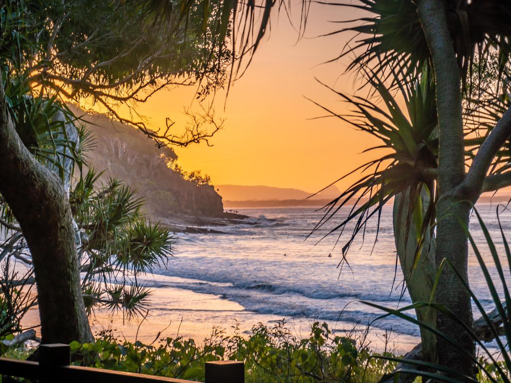 Sunset at Noosa Beach with orange hued sky in trees in the foreground, Australia
